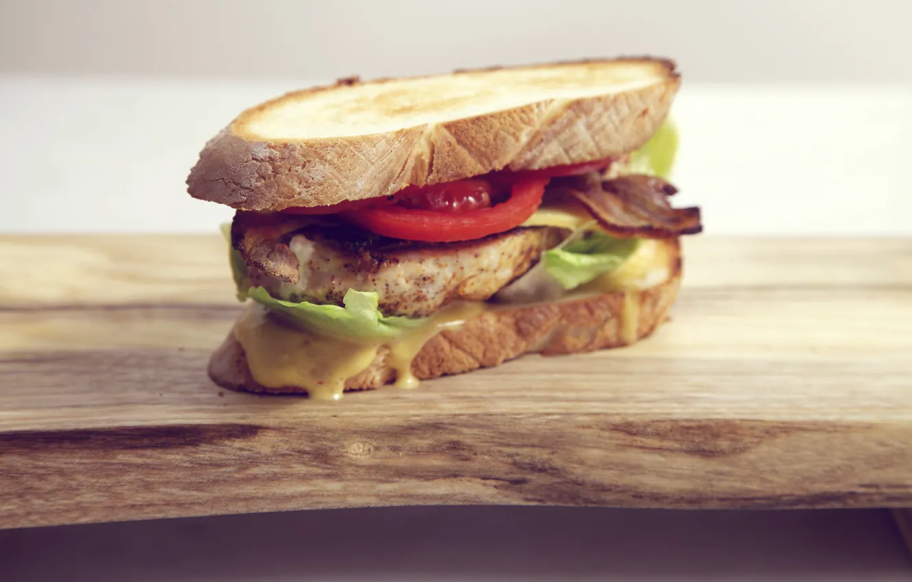 Photo wallpaper cheese, bread, sandwich, tomato, tomato, roll, salad
