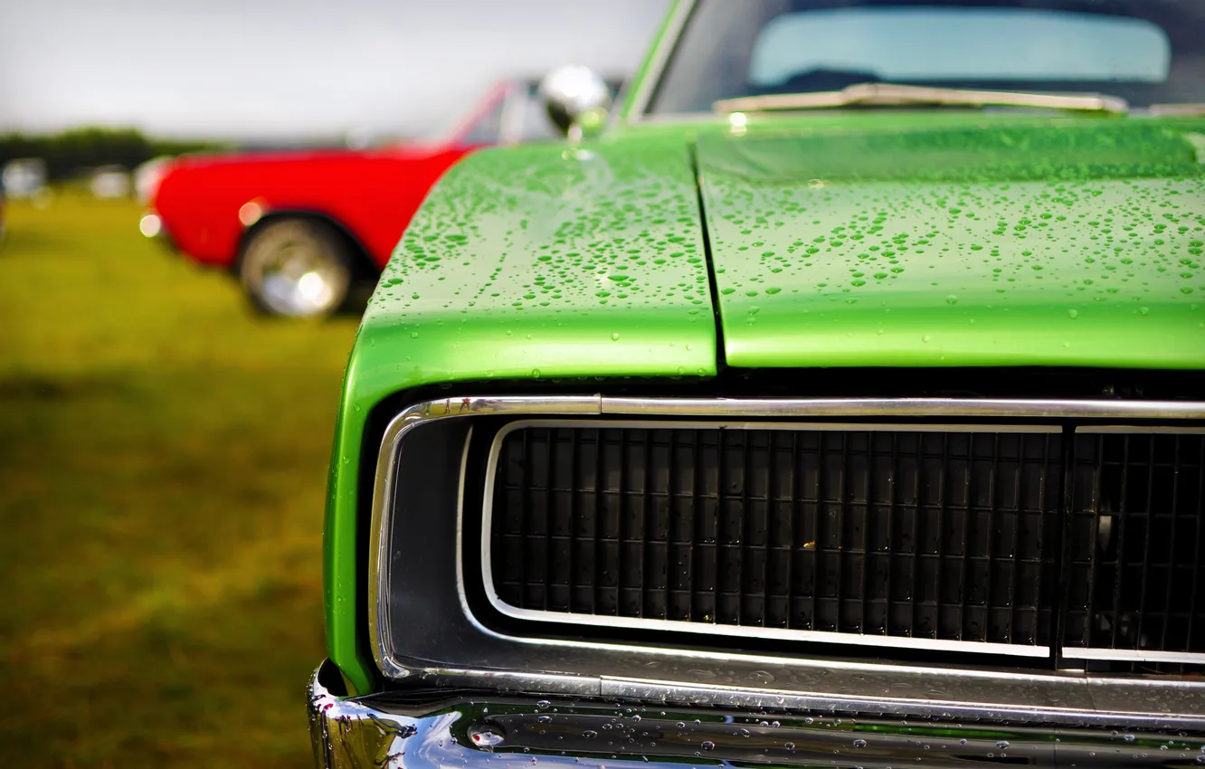 Photo wallpaper green, dodge, charger