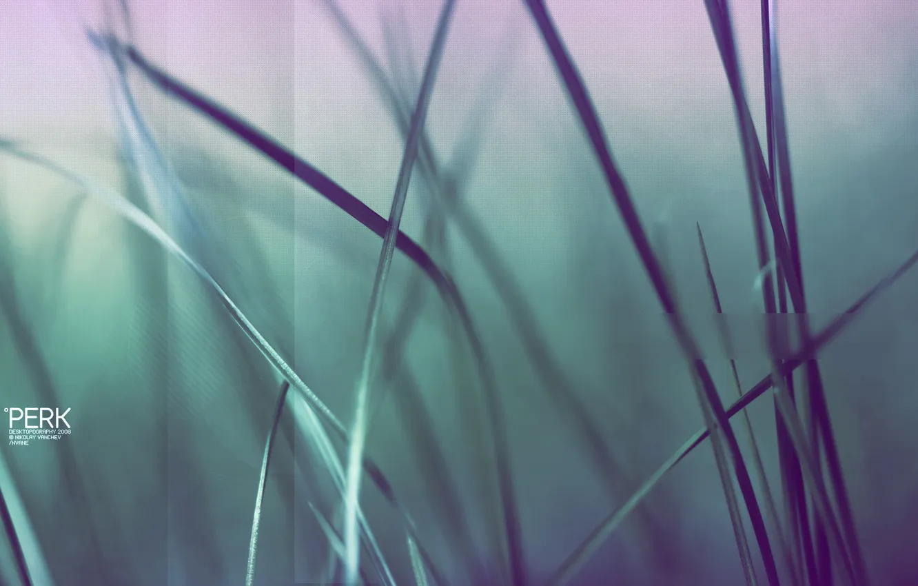 Photo wallpaper nature, photo, background, plant, treatment, weed, picture, image