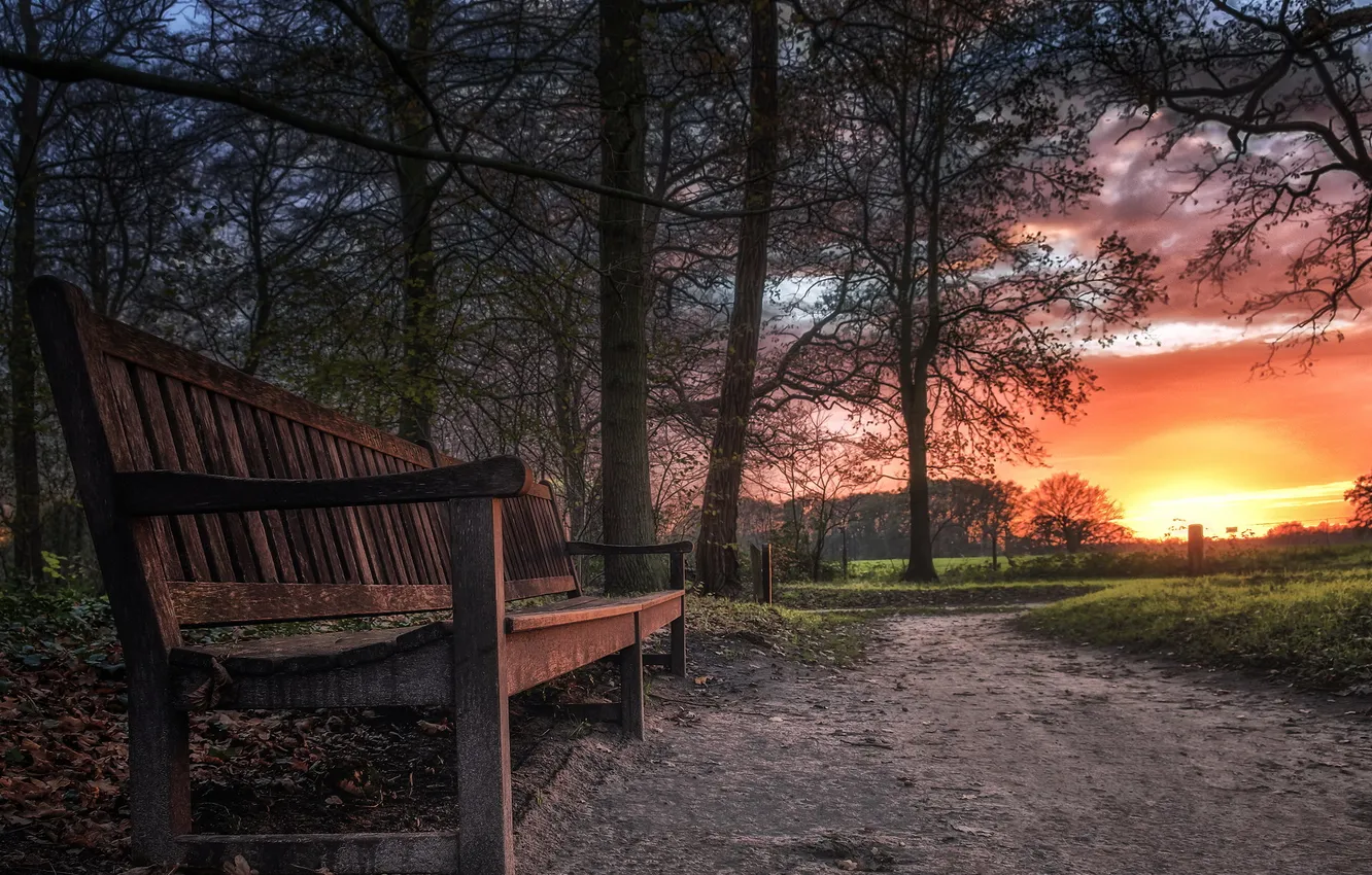 Photo wallpaper autumn, sunset, nature, bench