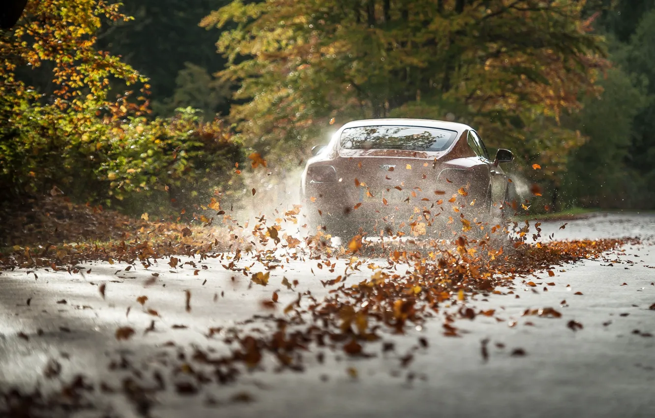 Photo wallpaper car, bentley, Leaves