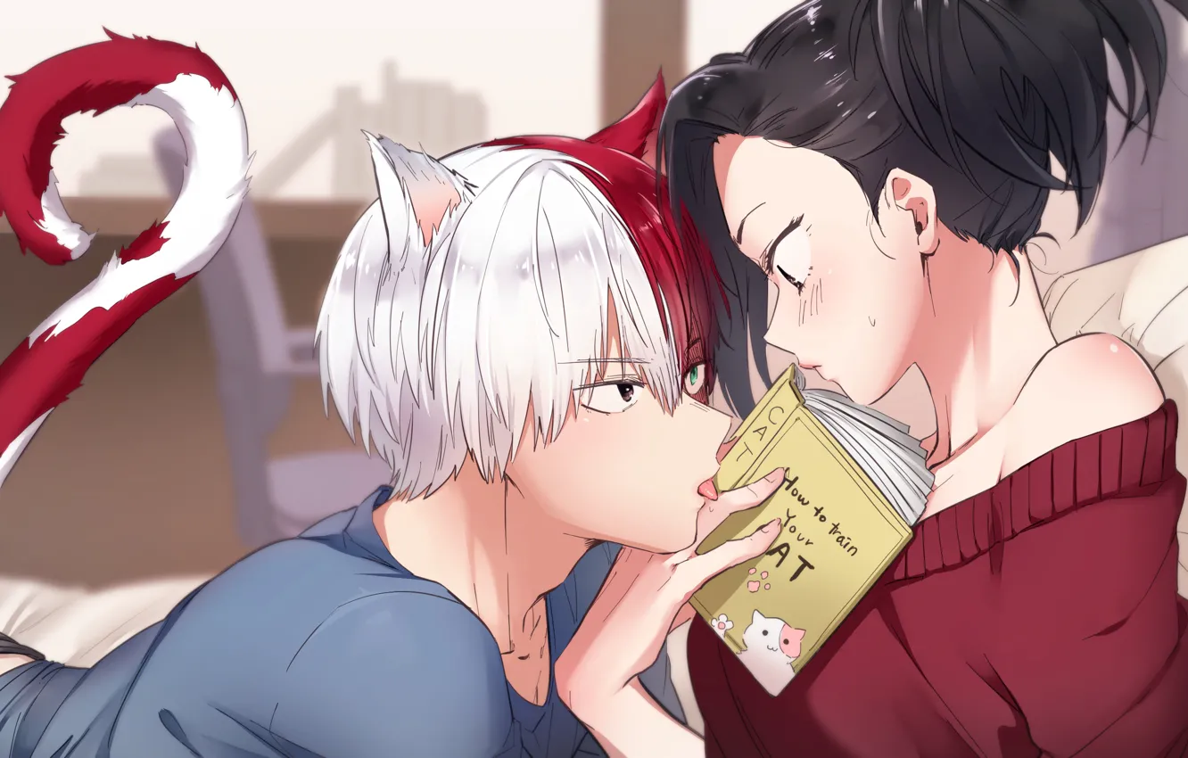 Photo wallpaper book, two, Boku no Hero Academy, My hero Academy, My Hero Academia, Todoroki Shoto, Airoso …