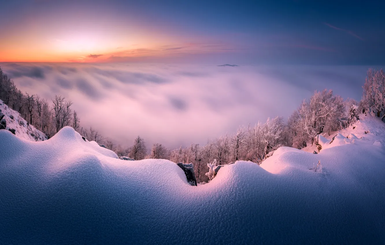 Photo wallpaper winter, forest, clouds, snow, landscape, mountains, nature, fog