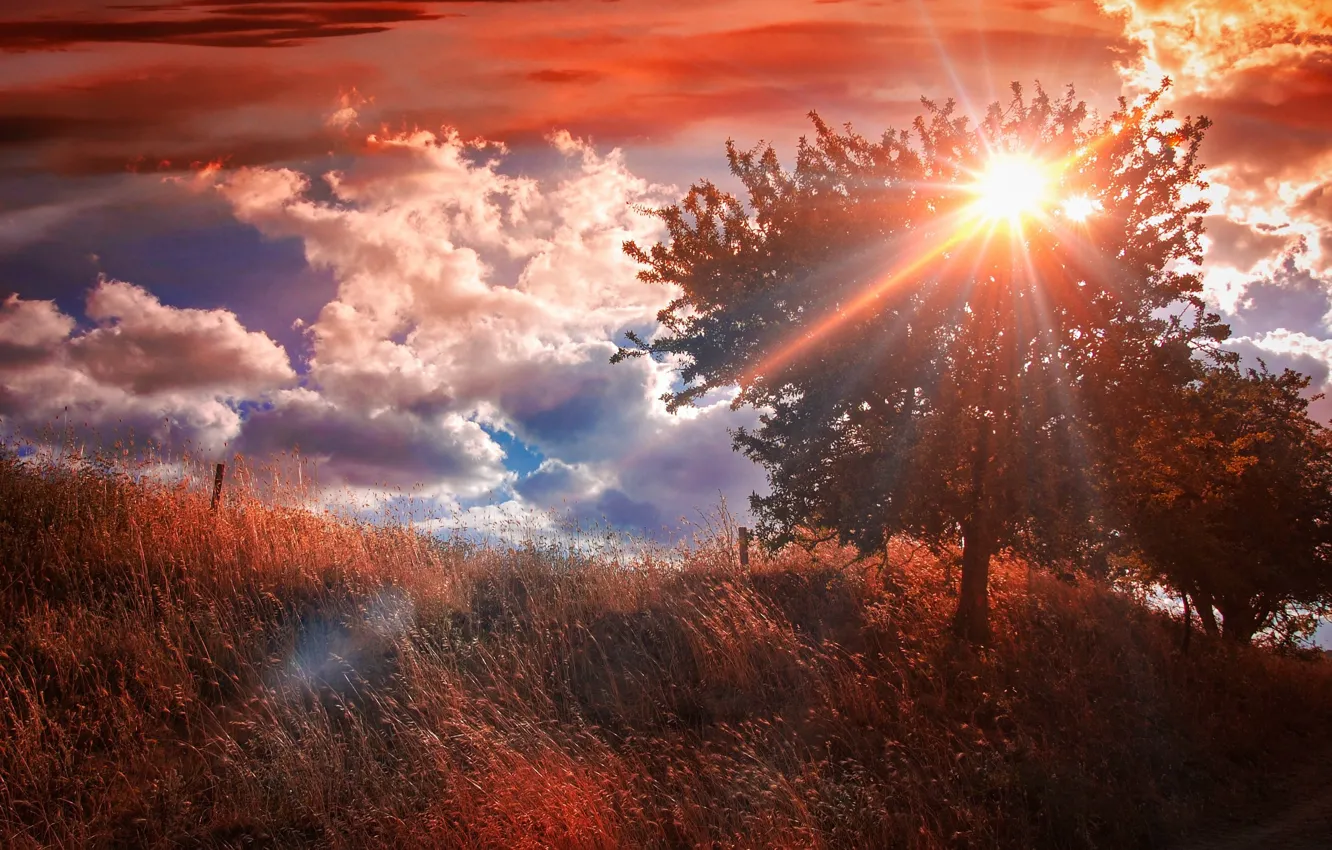 Photo wallpaper field, autumn, the sky, grass, the sun, clouds, rays, light