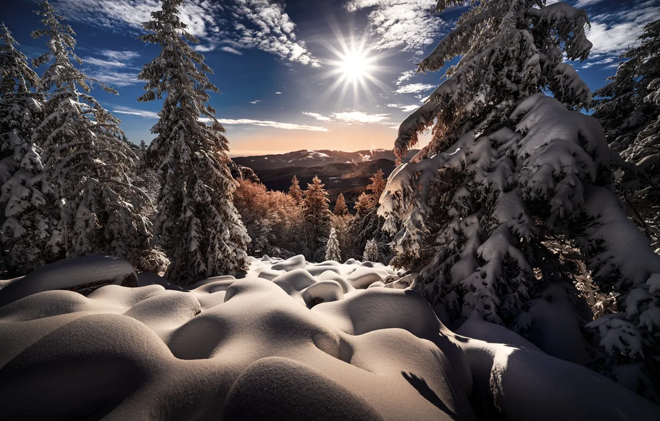Photo wallpaper winter, the sun, rays, snow, trees, landscape, mountains, nature