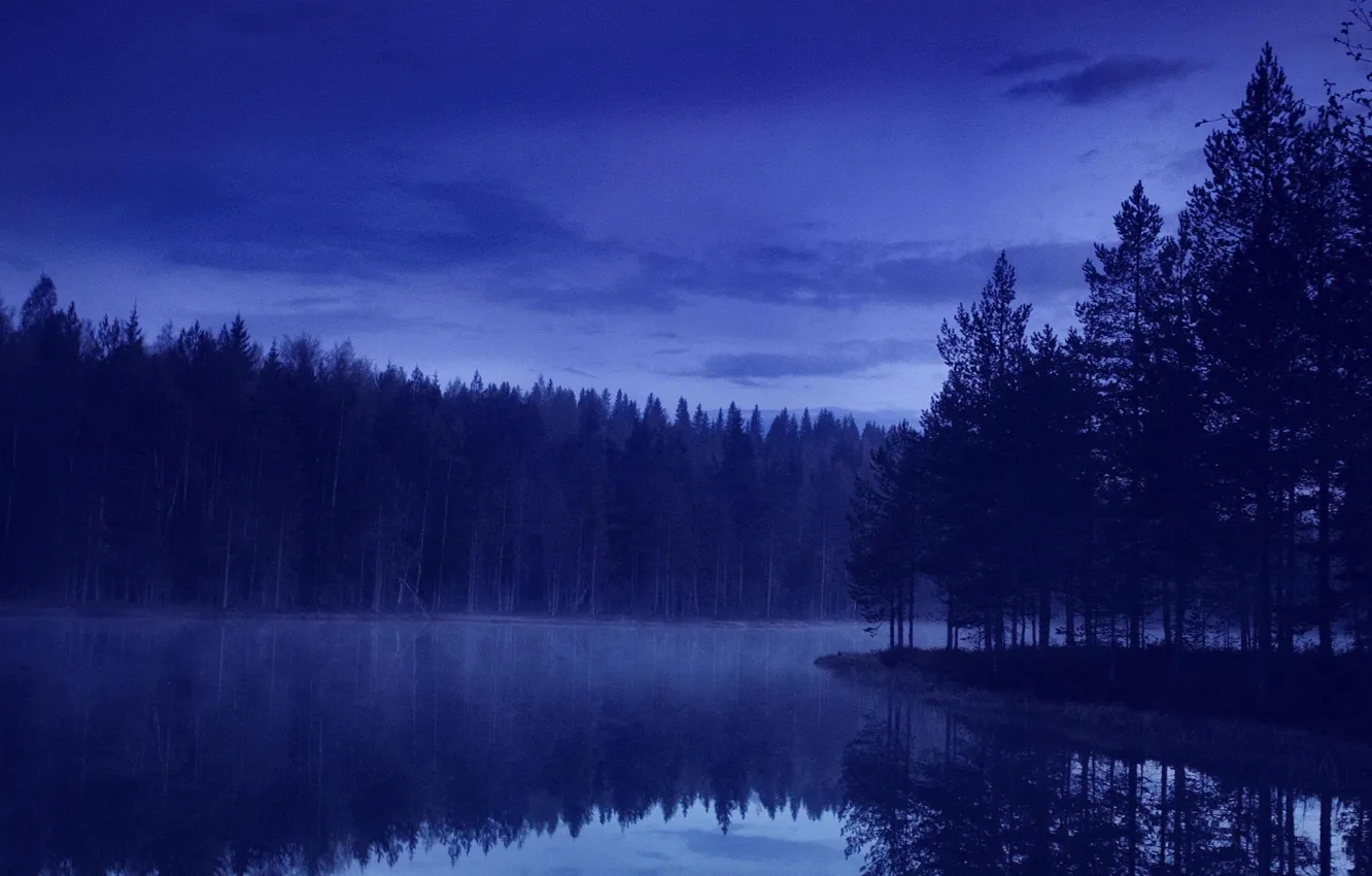 Photo wallpaper forest, nature, river, the evening