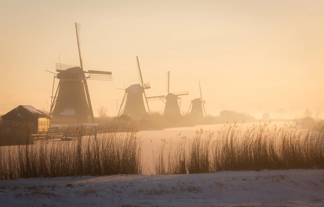 Photo wallpaper field, morning, windmills