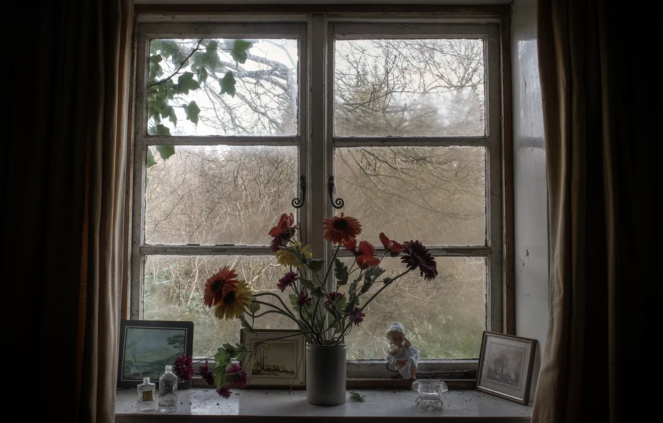 Photo wallpaper urban exploration, World Outside, House In The Woods