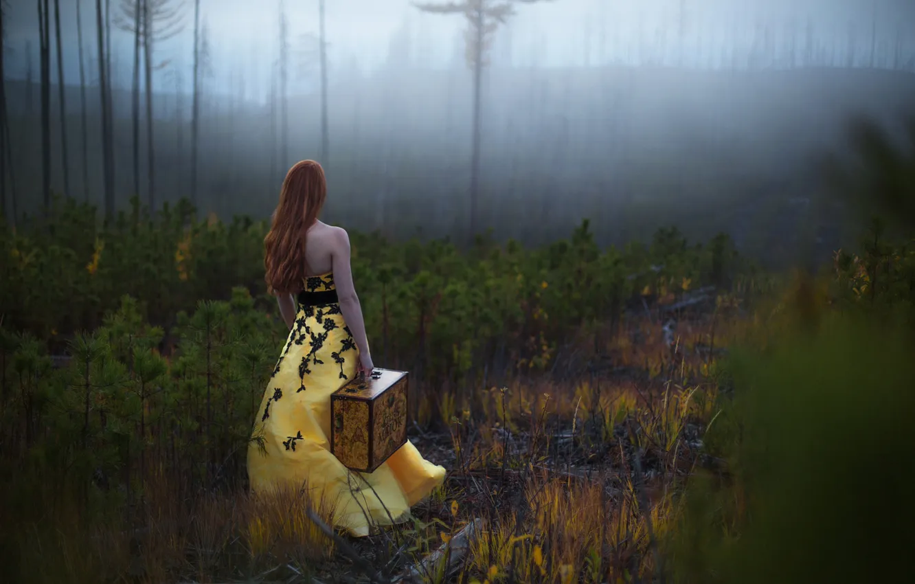 Photo wallpaper forest, girl, suitcase