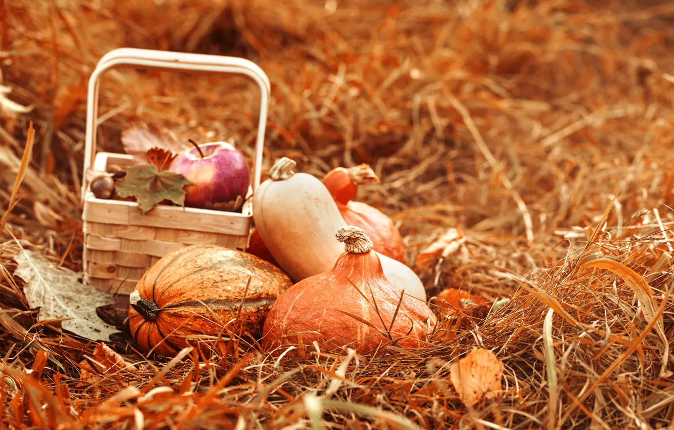 Photo wallpaper autumn, basket, apples, hay, pumpkin, still life