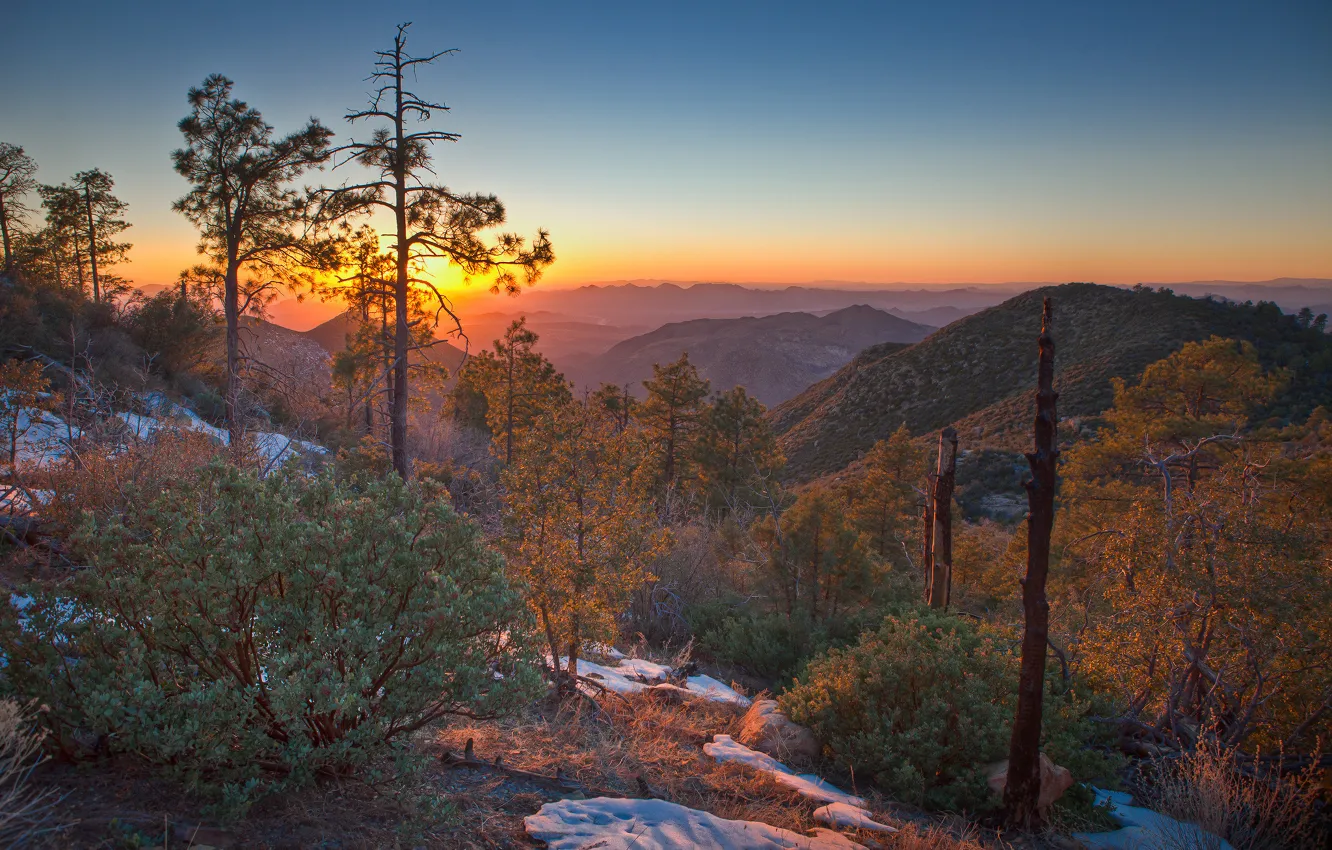Photo wallpaper snow, trees, mountains, photo, the bushes, A sunrises and sunsets Nature