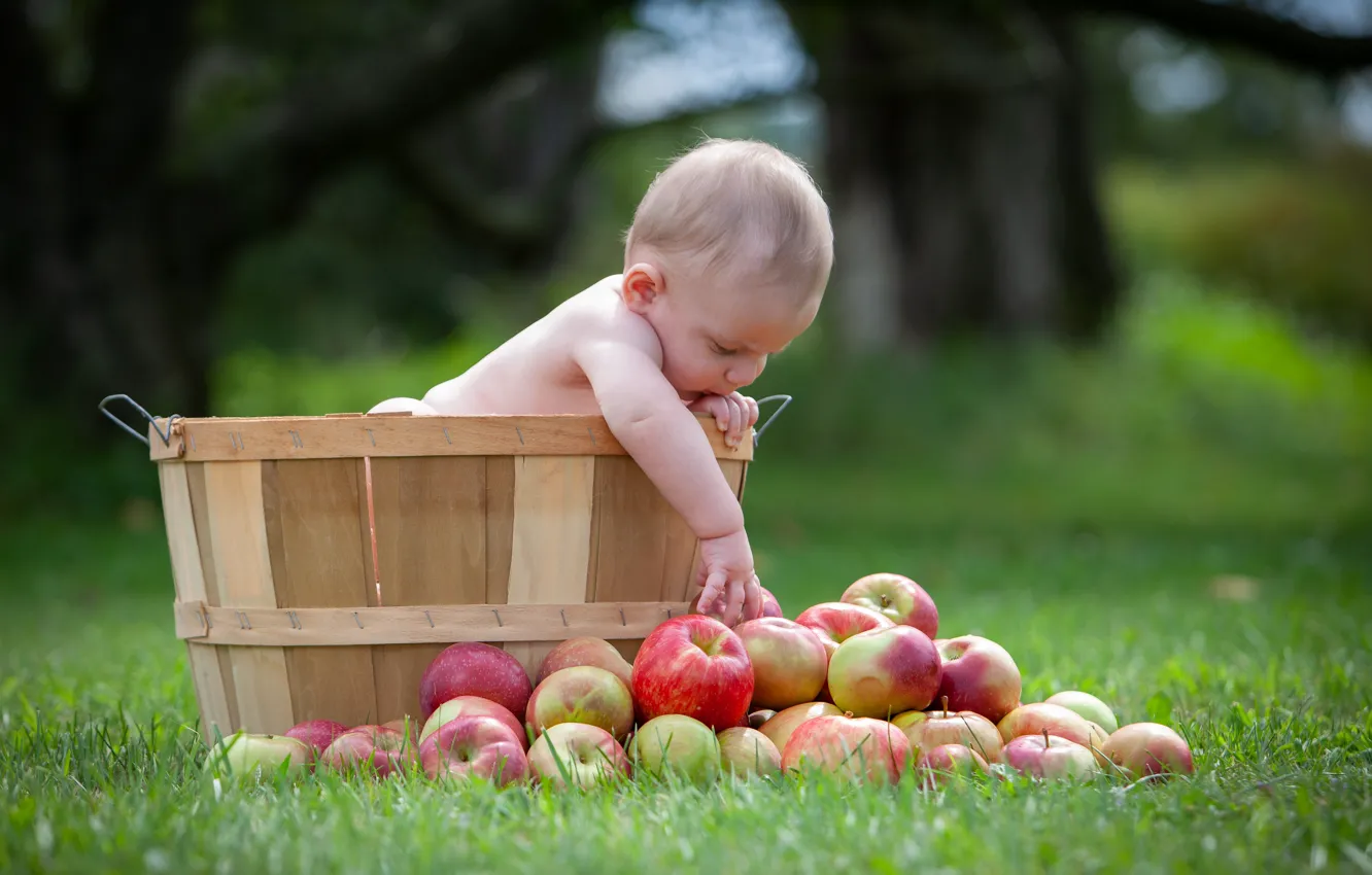 Photo wallpaper grass, apples, baby, child