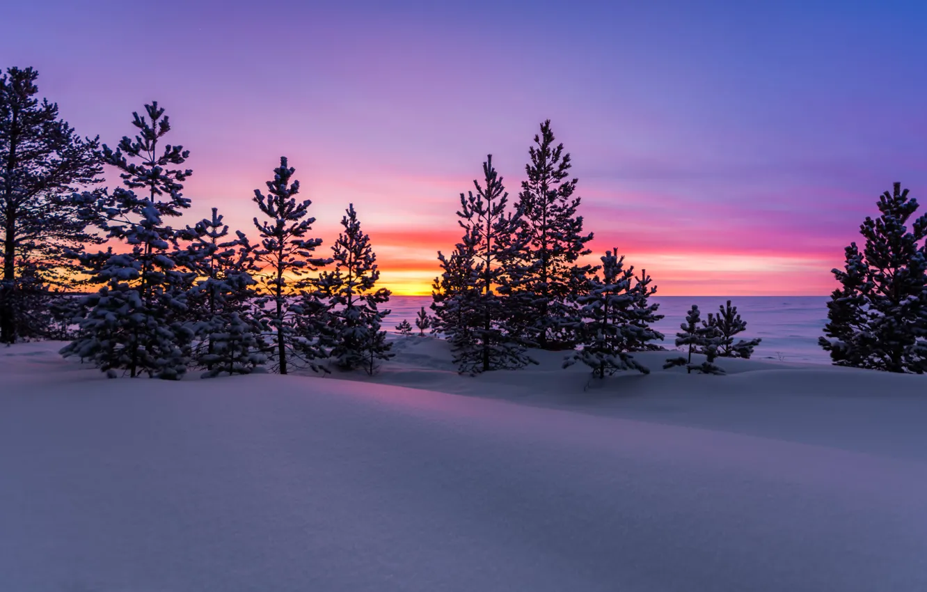 Photo wallpaper winter, snow, sunset