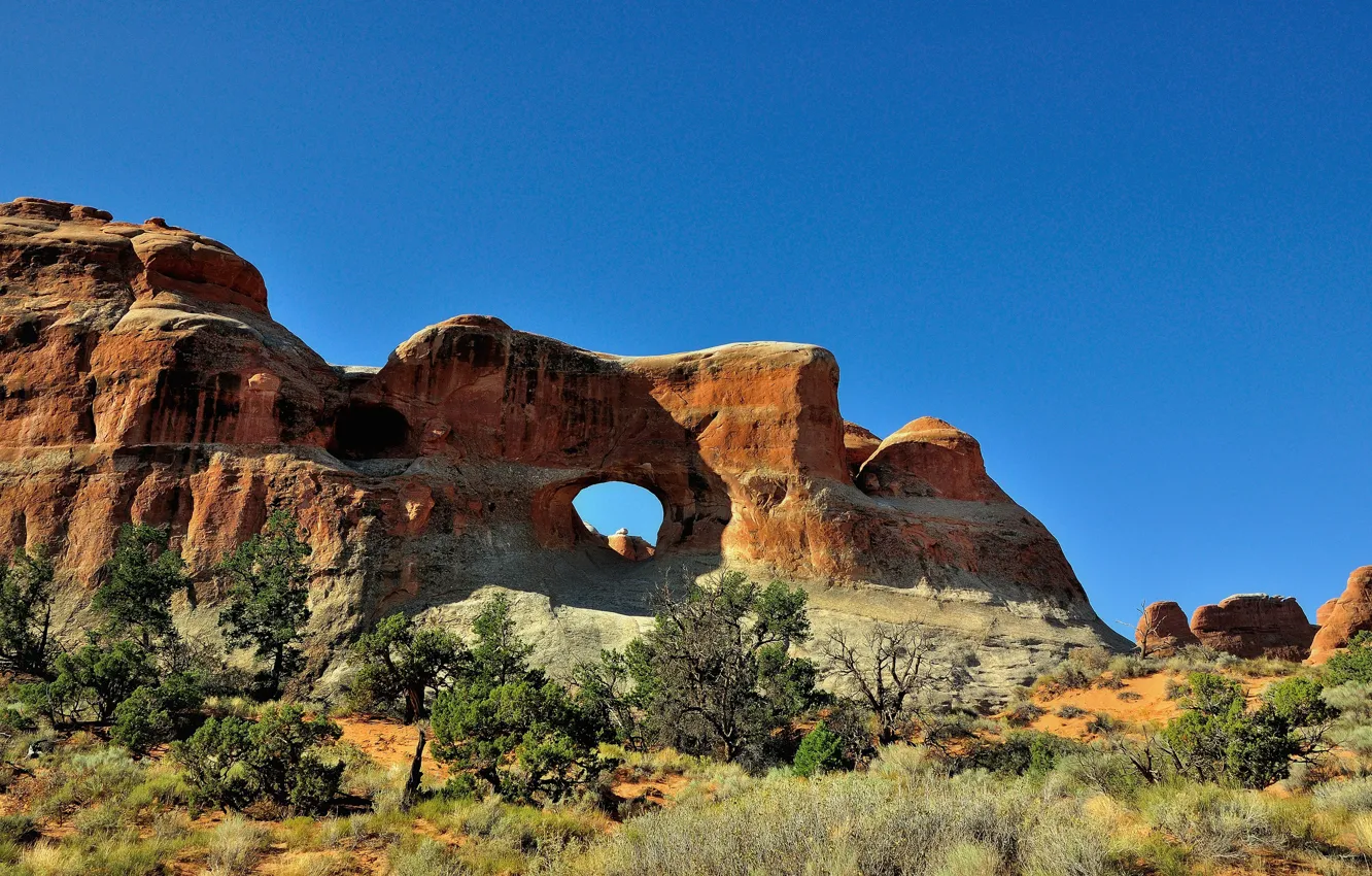 Photo wallpaper the sky, trees, rocks, arch, USA, the bushes, Arches National Park, uta