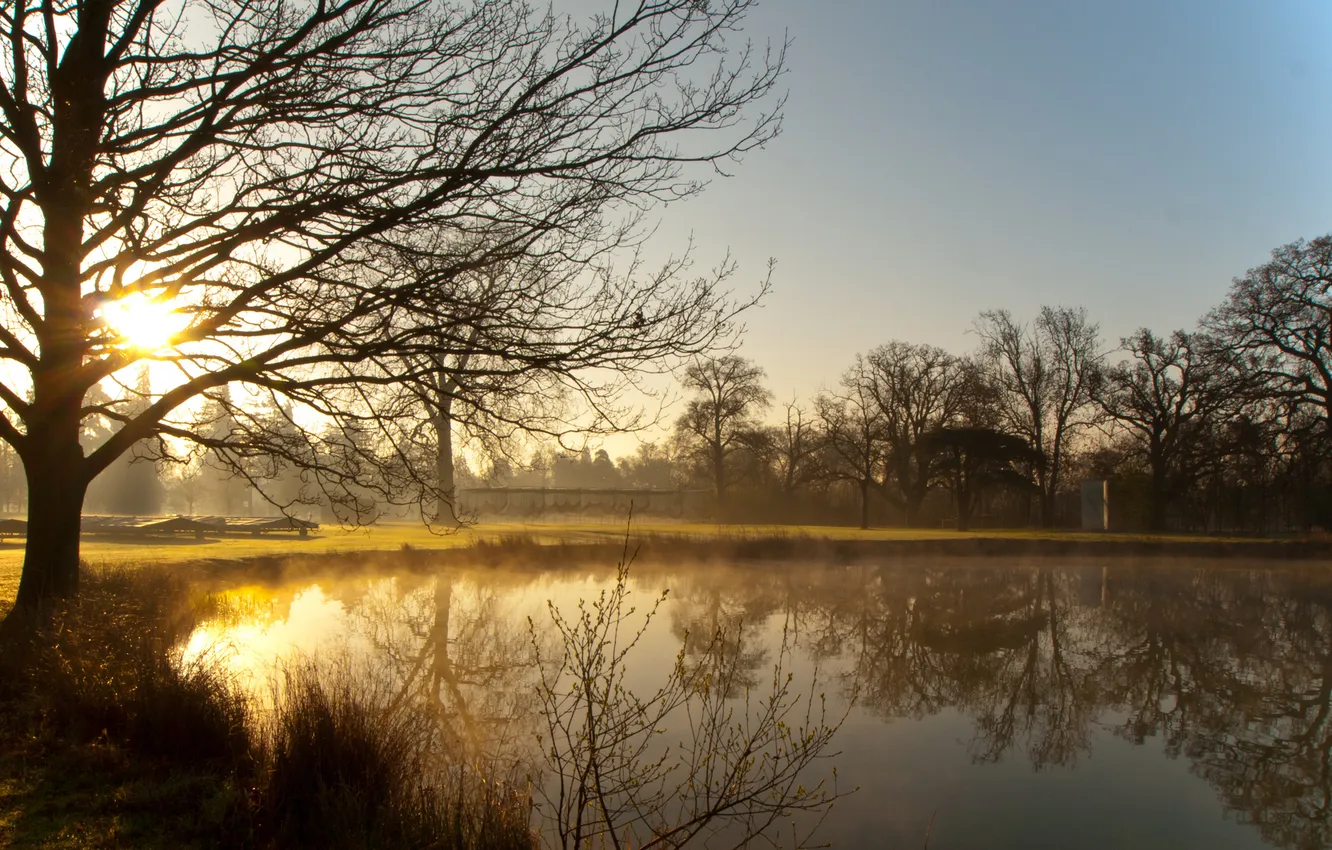 Photo wallpaper the sun, trees, fog, lake, England