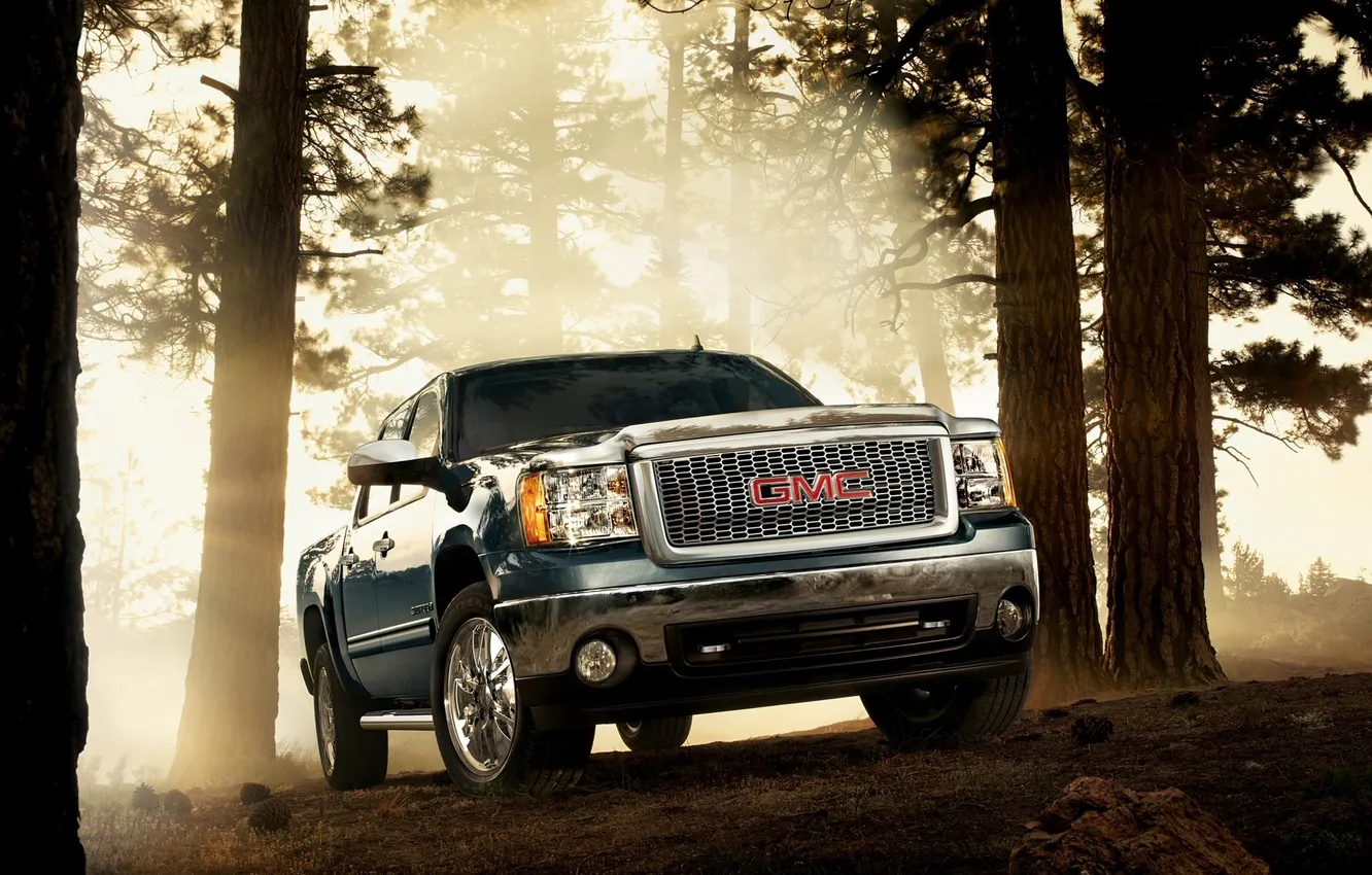 Photo wallpaper forest, pickup, GMC