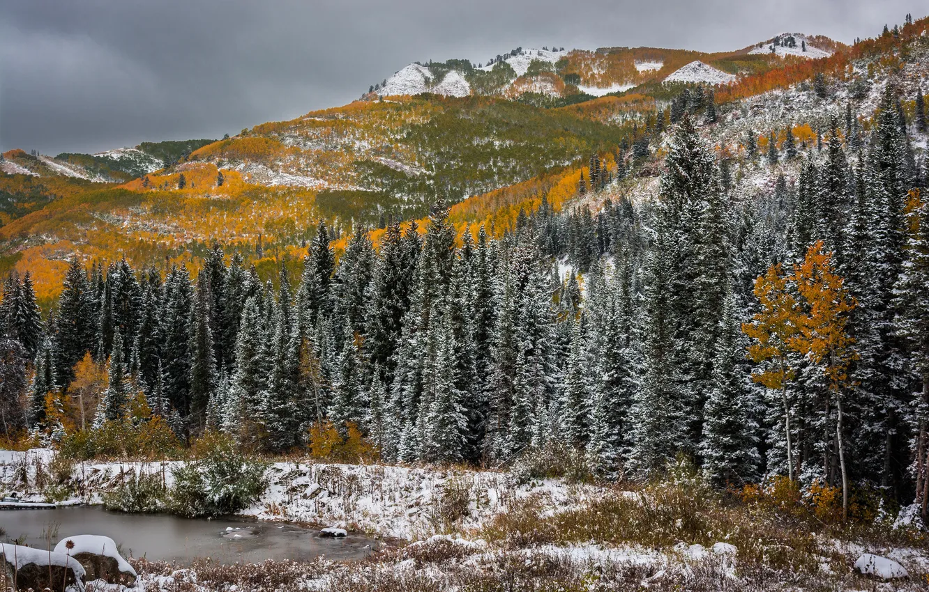 Photo wallpaper autumn, snow, trees, mountains, Utah, pond, Utah