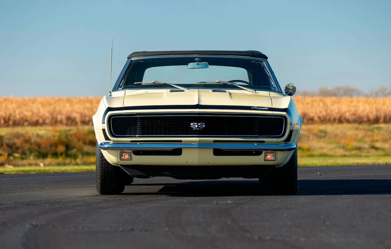 Photo wallpaper Chevrolet, Camaro, road, Chevrolet Camaro SS