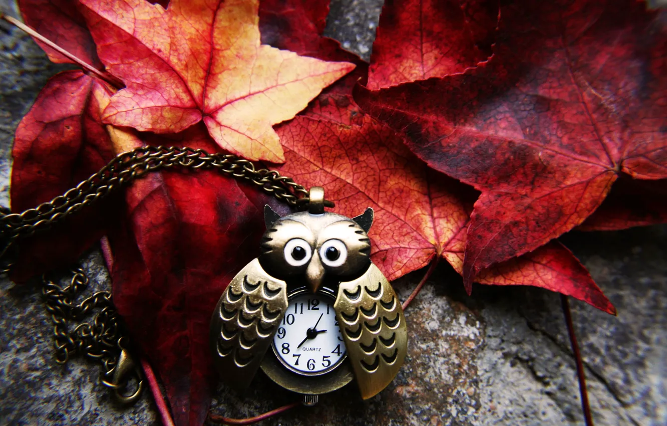 Photo wallpaper autumn, leaves, owl, watch, yellow, red, chain, suspension
