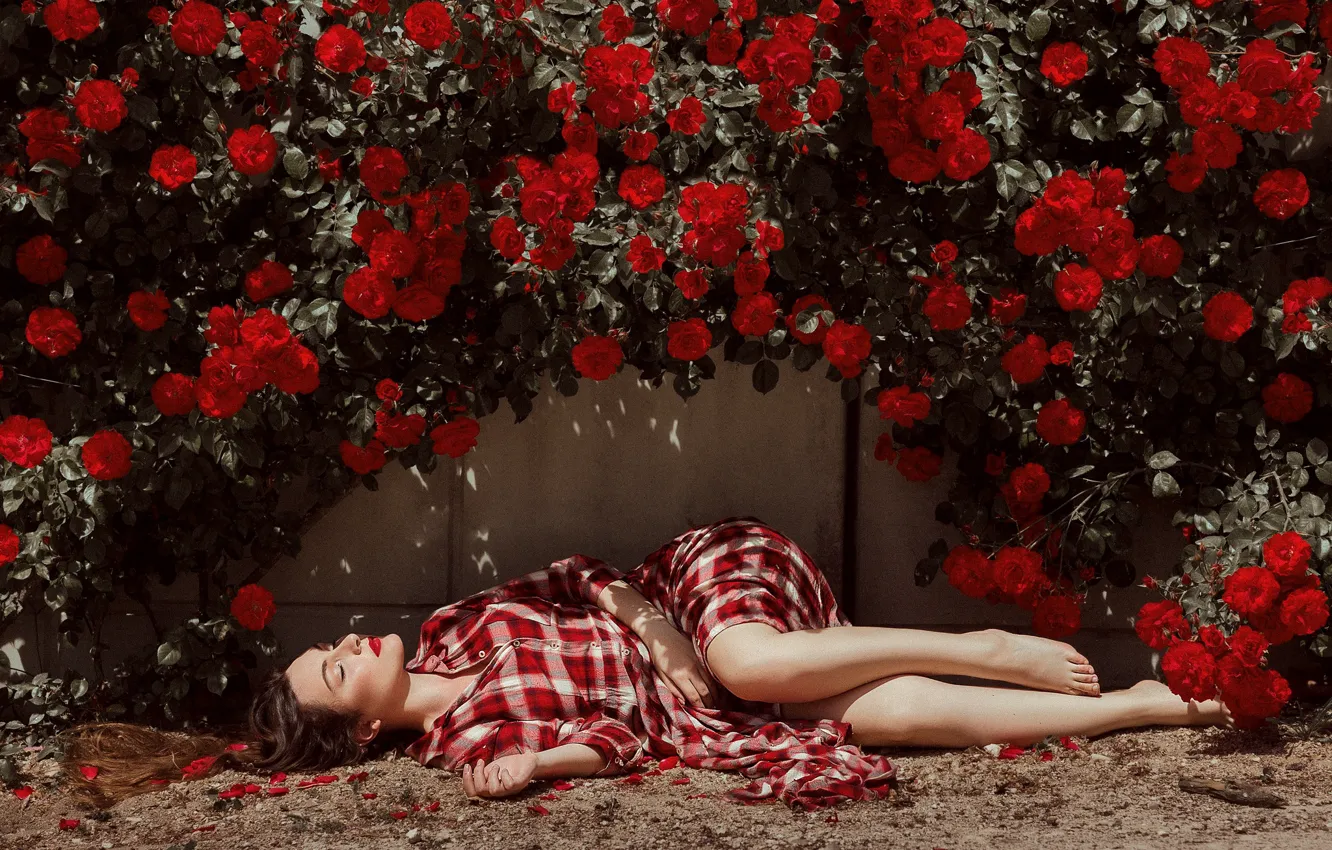 Photo wallpaper girl, flowers, wall, lies