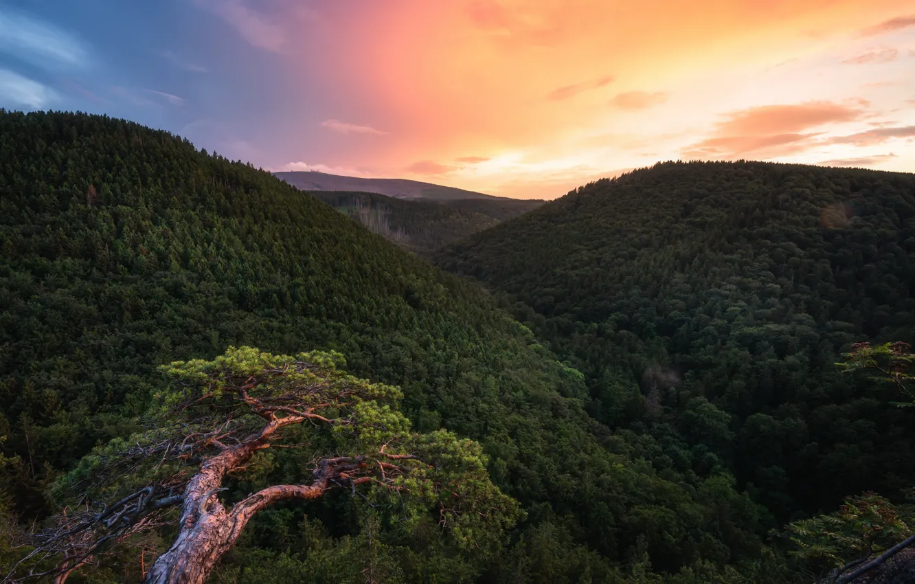 Photo wallpaper sunset, mountains, nature