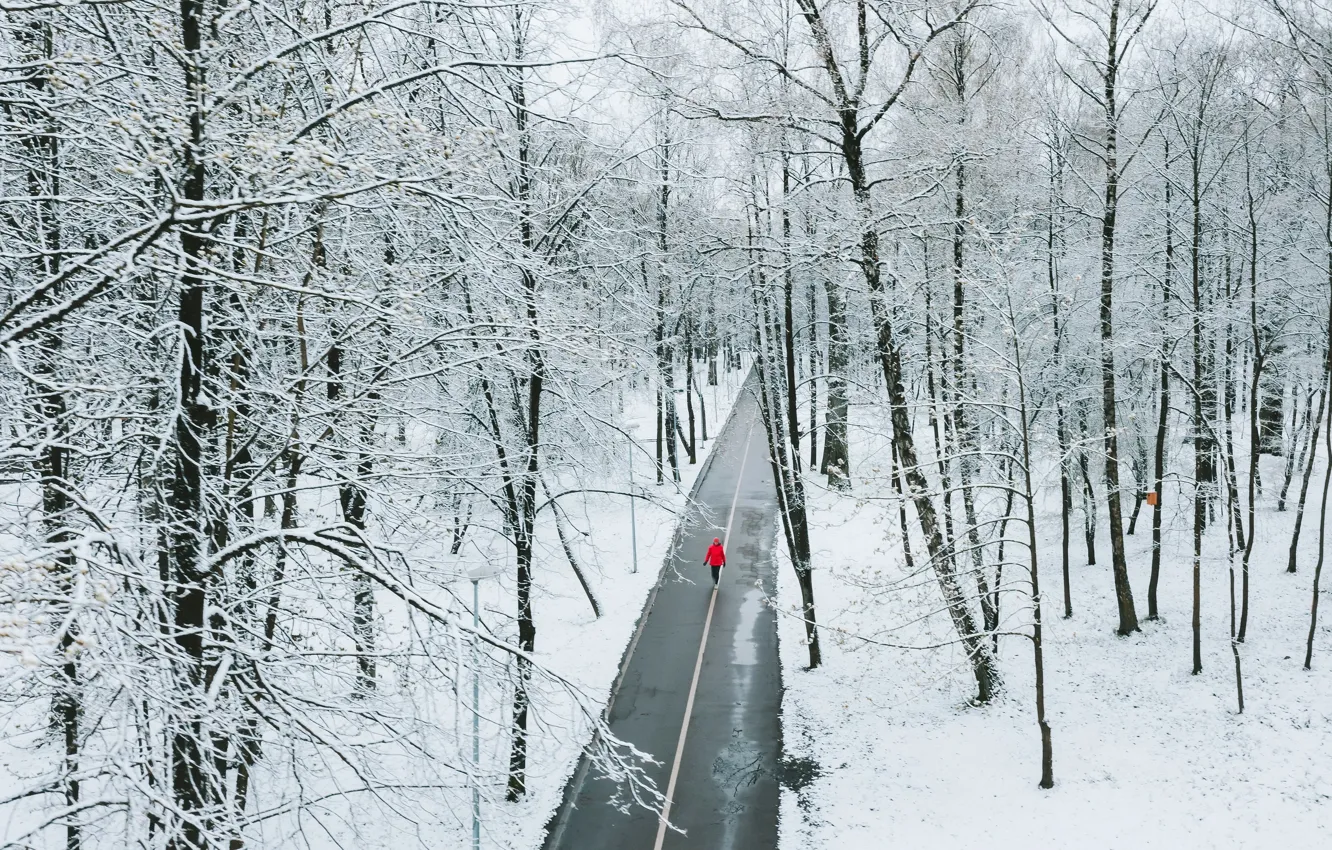 Photo wallpaper Lithuania, Kaunas, Griciupis