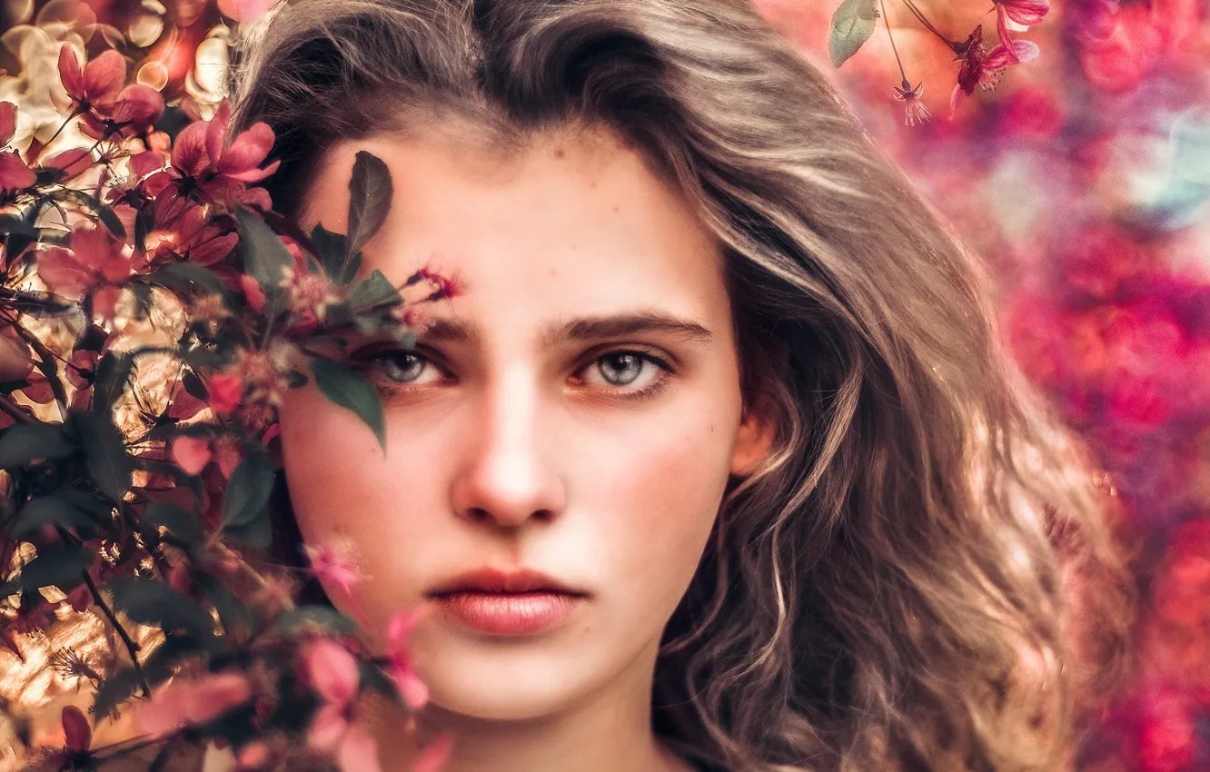 Photo wallpaper look, face, portrait