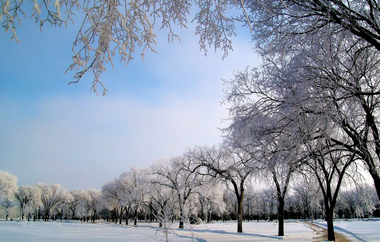 Photo wallpaper winter, road, the sky, snow, trees, Park