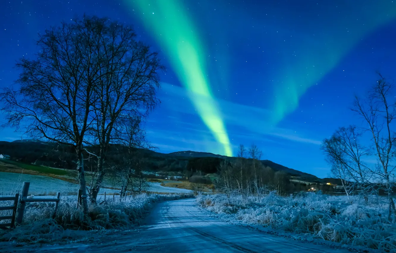 Photo wallpaper winter, road, the sky, trees, Northern lights, Norway, Norway, Troms