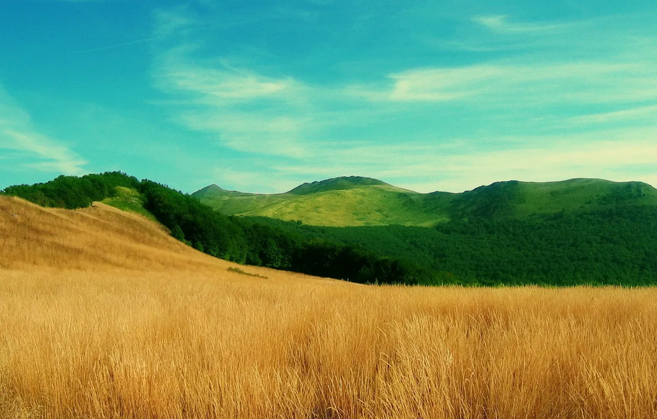Photo wallpaper grass, field hills