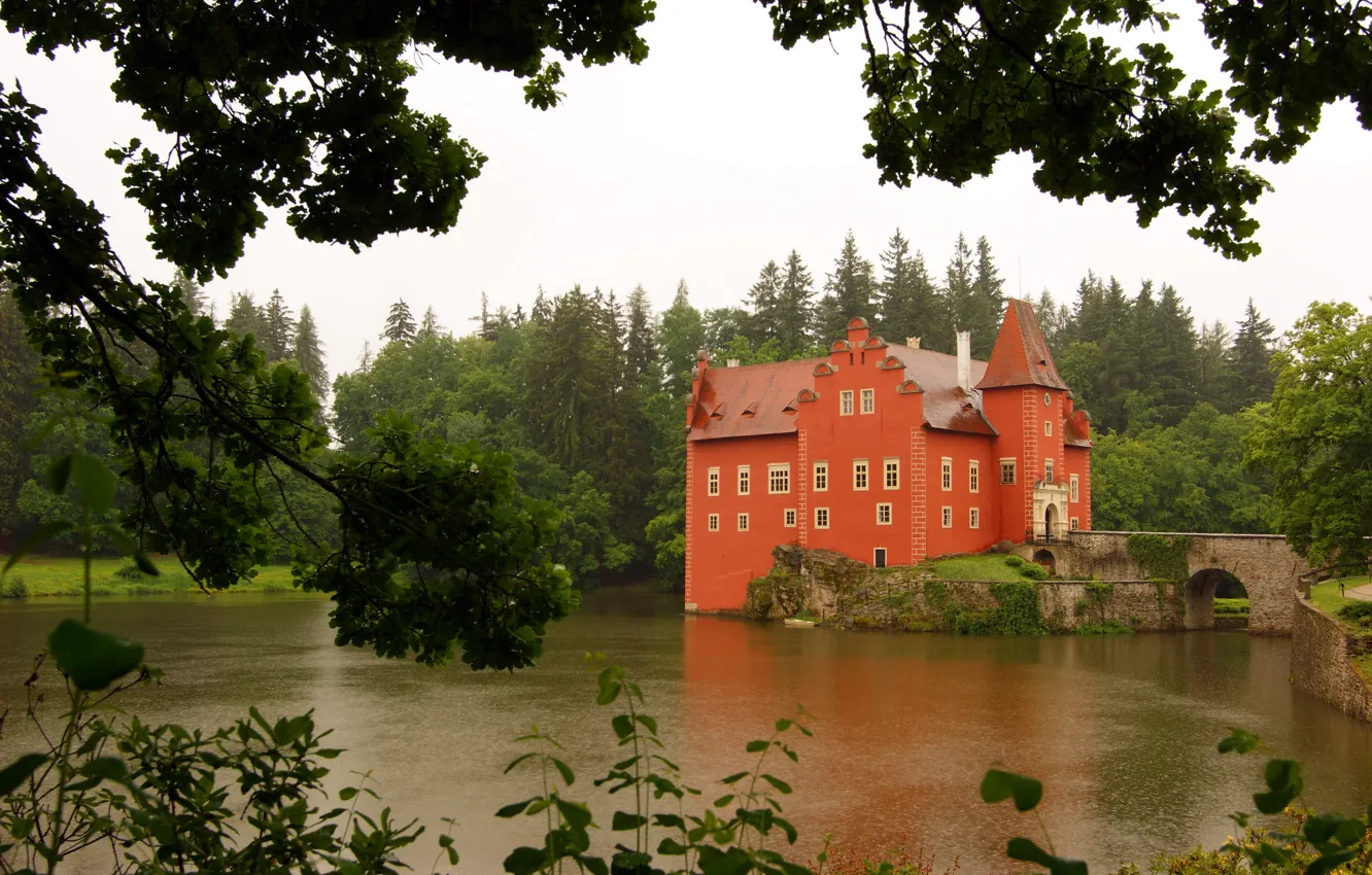 Photo wallpaper forest, trees, pond, castle