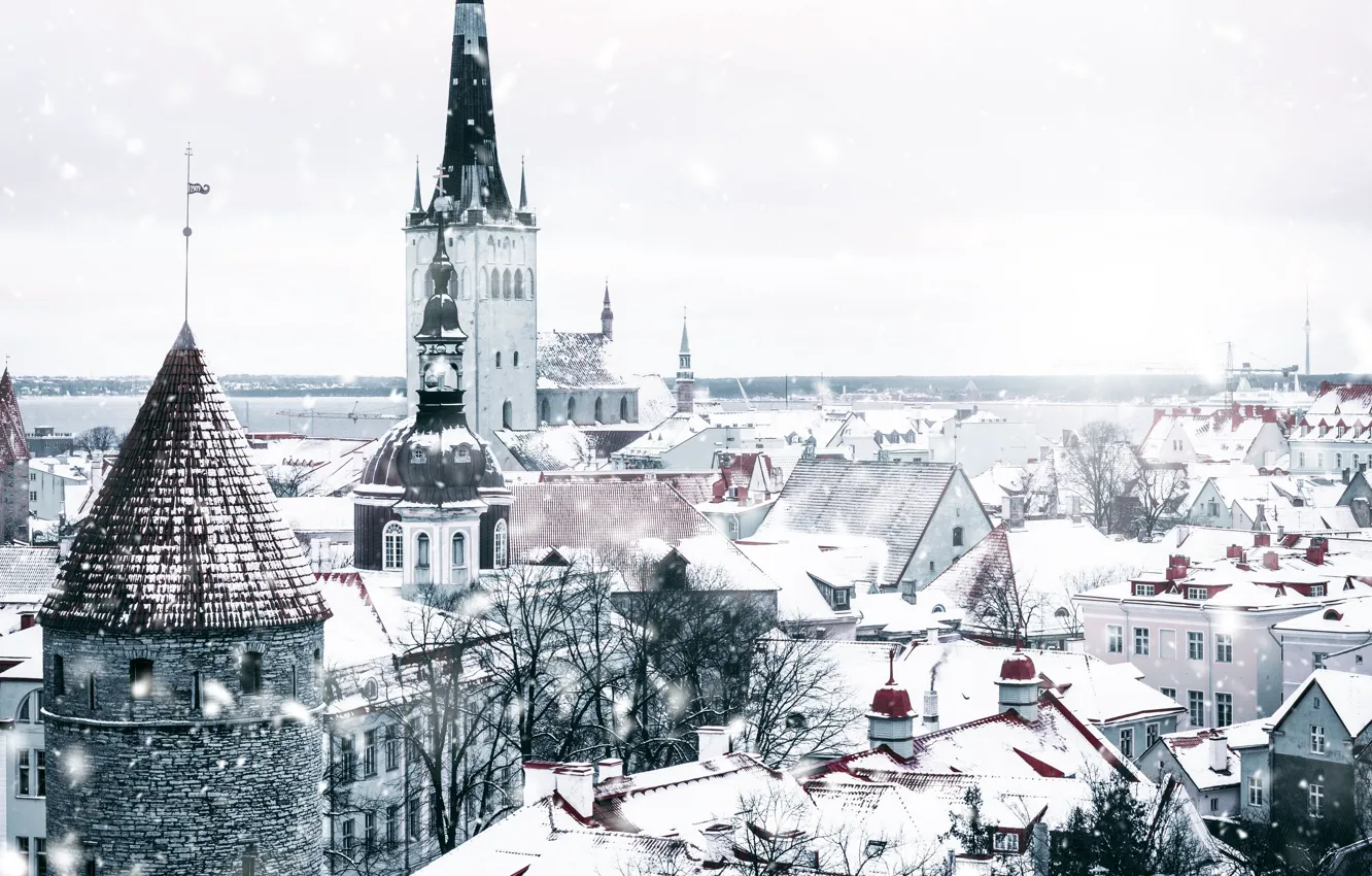 Photo wallpaper city, white, winter, snow, Tallinn, Estonia, architecture, snowfall