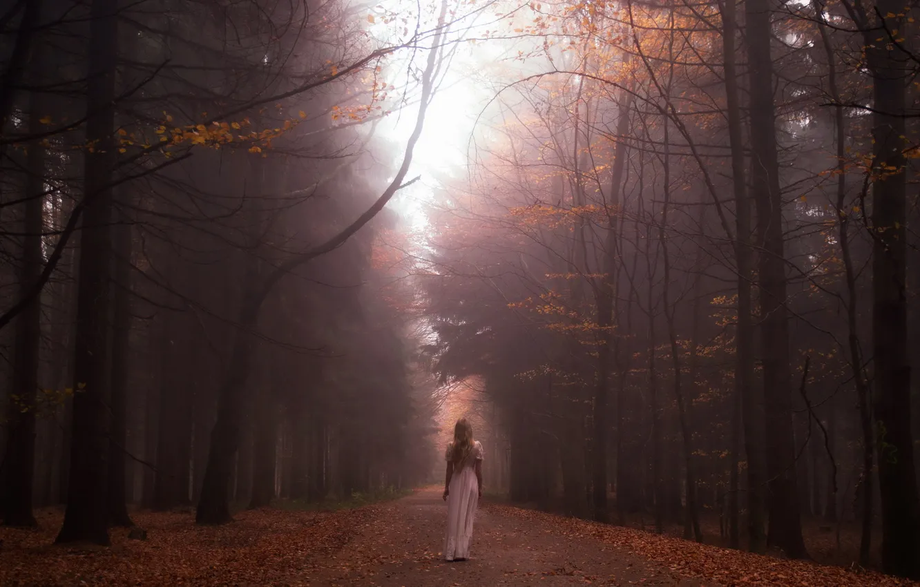 Photo wallpaper road, forest, girl, fog