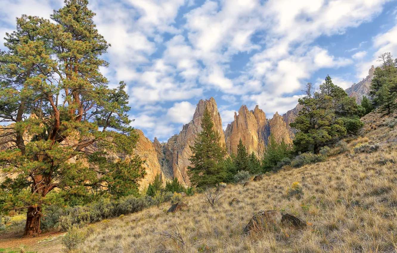 Photo wallpaper the sky, clouds, trees, mountains, rocks, slope