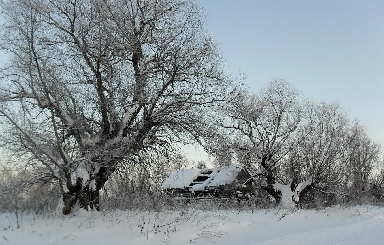 Photo wallpaper winter, snow, house, tree