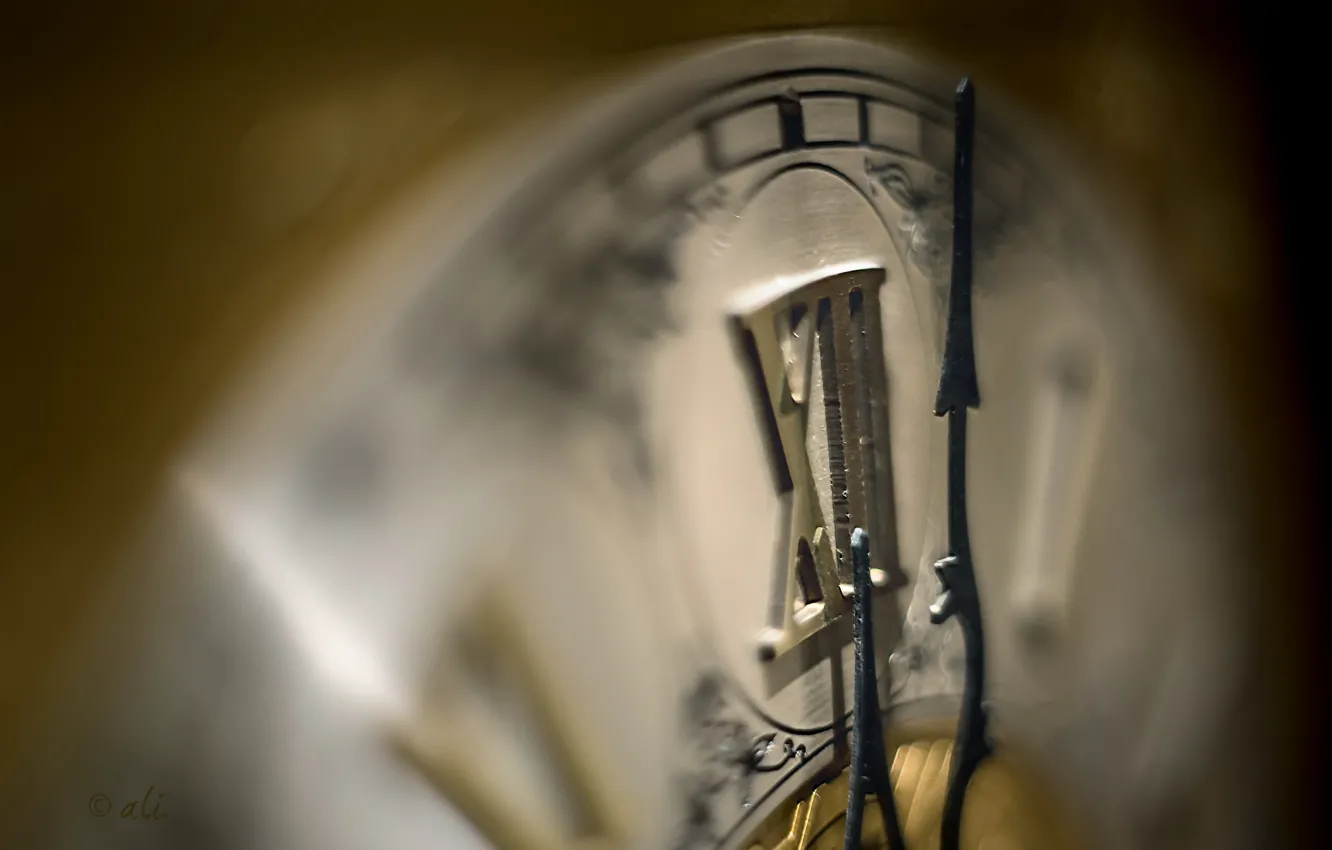 Photo wallpaper macro, time, watch