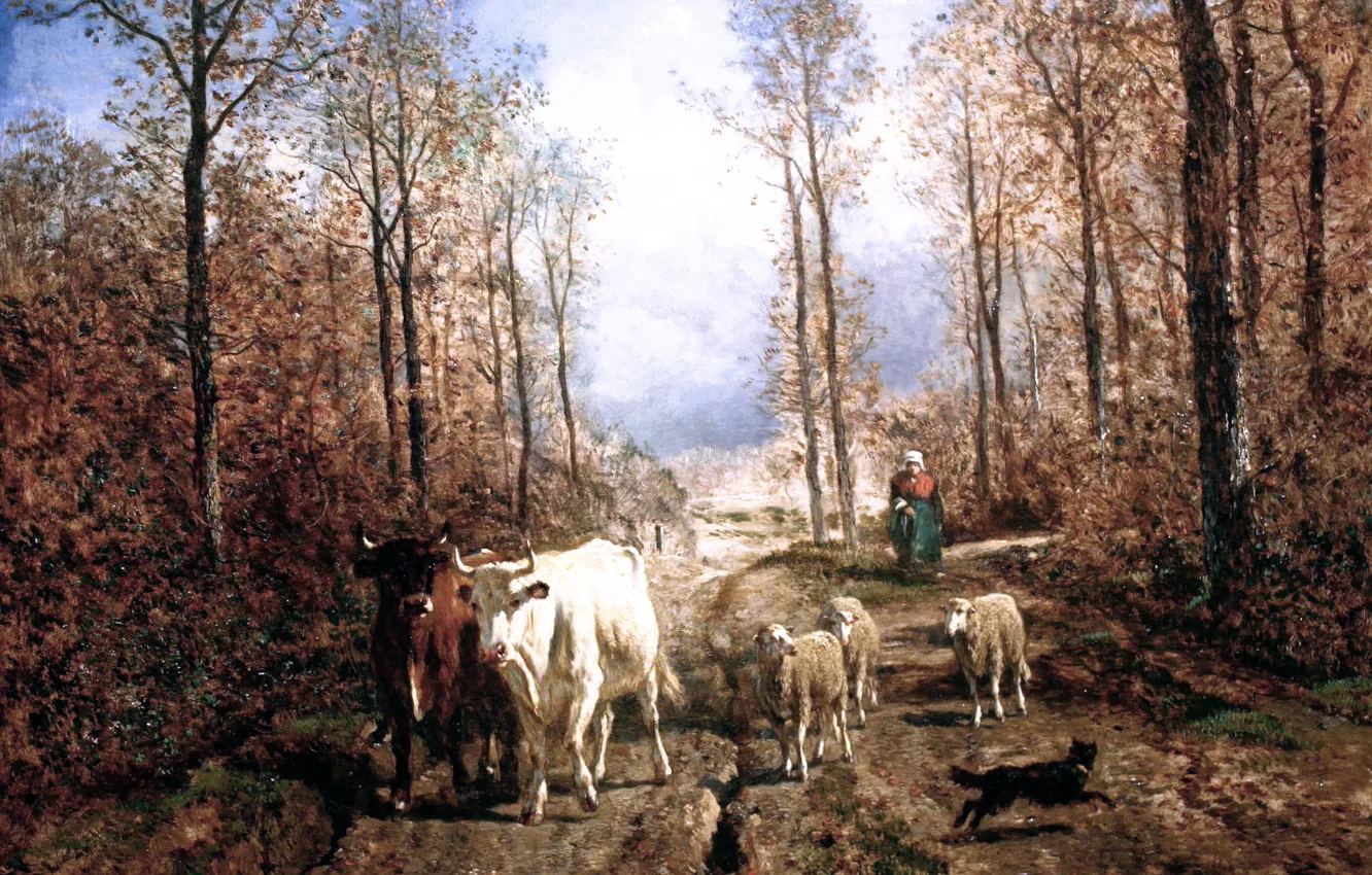 Photo wallpaper picture, Constant Troyon, Return of the Herd, Troyon Constant