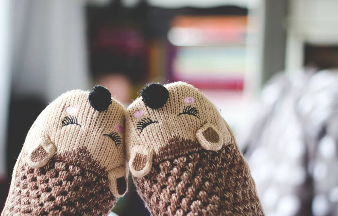 Photo wallpaper nose, socks, knitting, hedgehogs