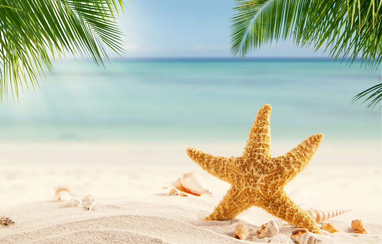 Photo wallpaper sand, sea, wave, beach, summer, the sky, stars, palm trees