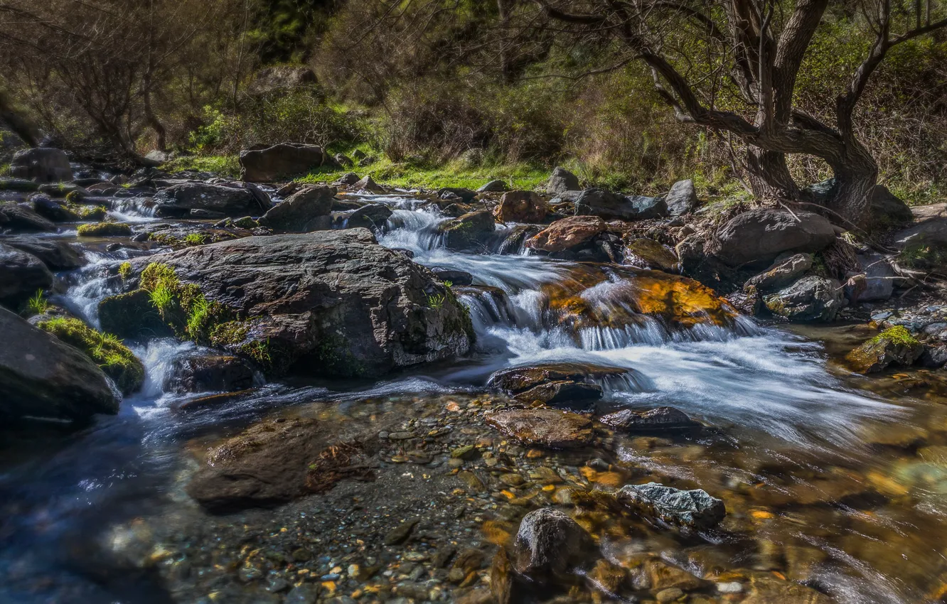 Photo wallpaper river, stones, stream