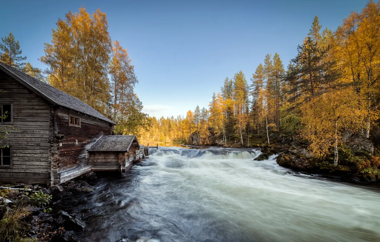 Photo wallpaper autumn, forest, nature, river