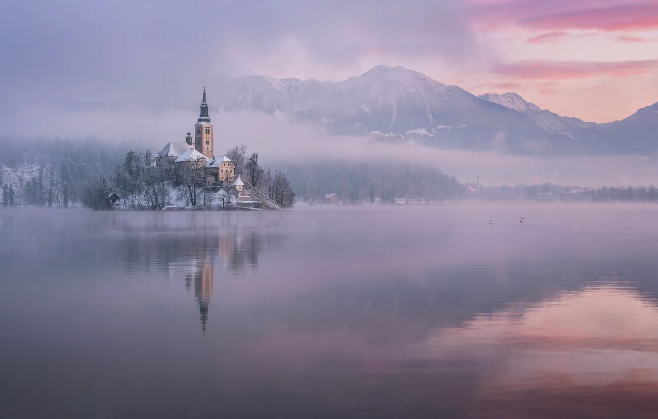 Photo wallpaper winter, mountains, lake, reflection, island, morning, Slovenia, Lake Bled