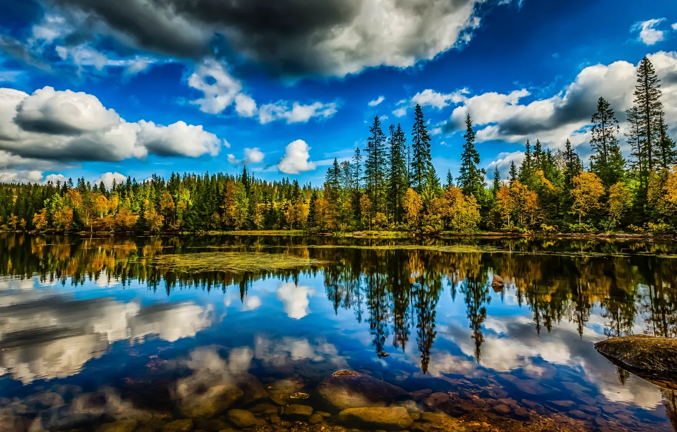 Photo wallpaper forest, the sky, clouds, trees, lake, reflection, HDR, Norway