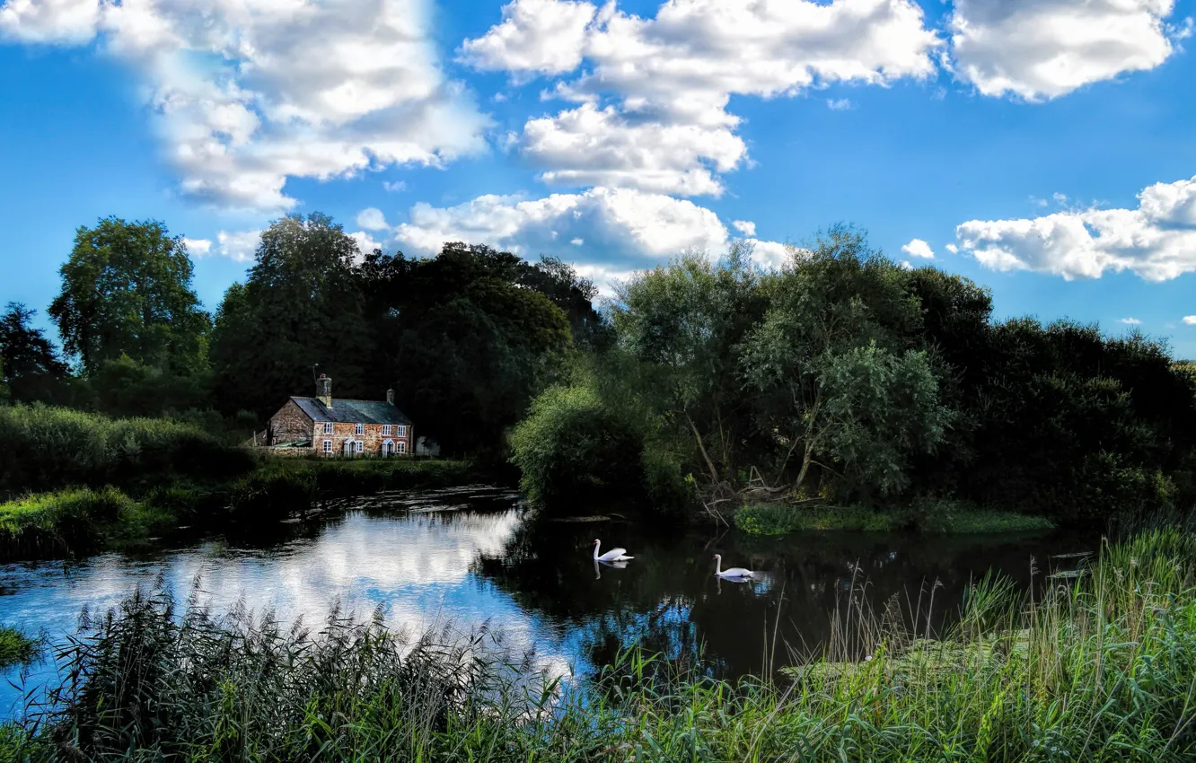 Photo wallpaper lake, house, swans