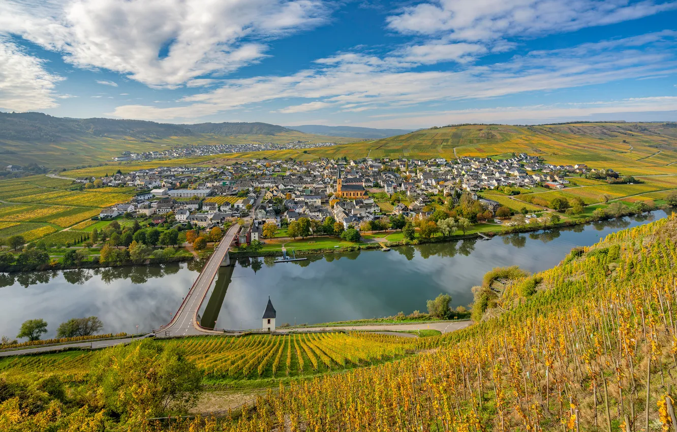 Photo wallpaper autumn, landscape, bridge, river, Germany, vineyard, Trittenheim
