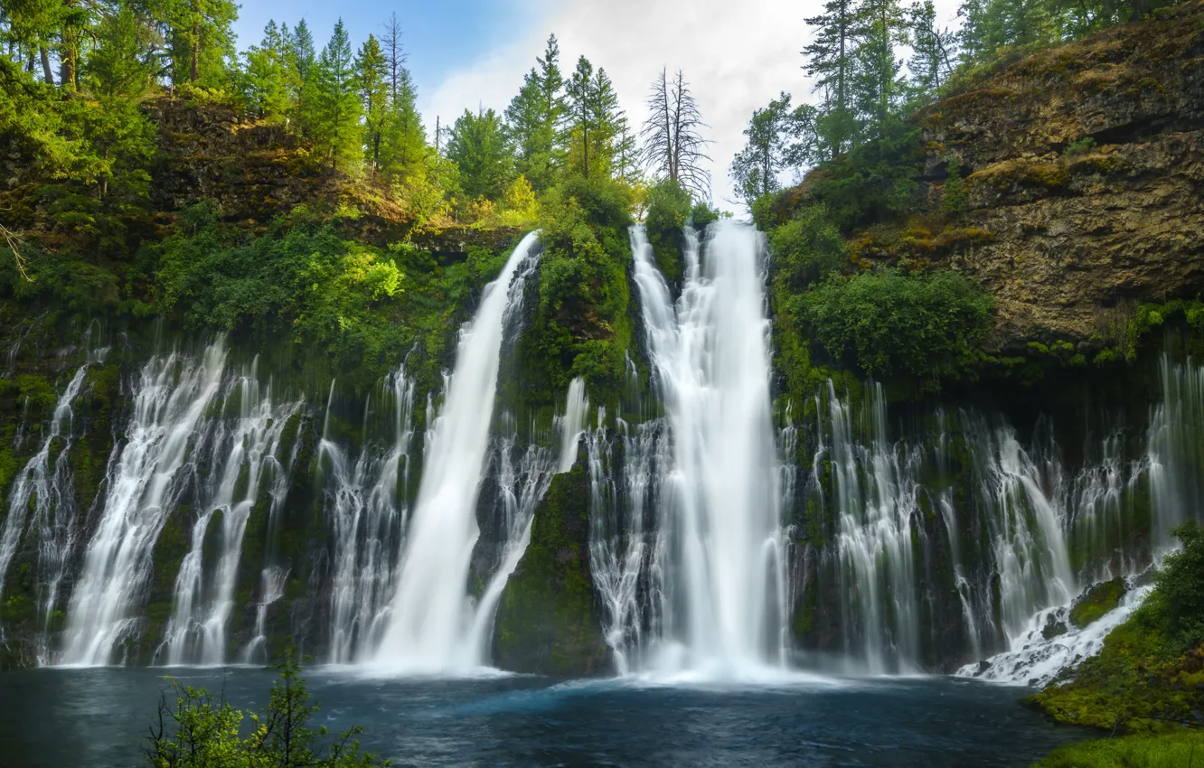 Photo wallpaper forest, summer, rocks, shore, waterfall, stream, ate, pond