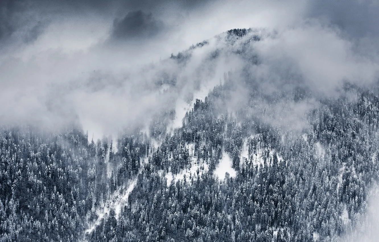 Photo wallpaper winter, clouds, snow, trees, landscape, mountains, nature, Wallpaper