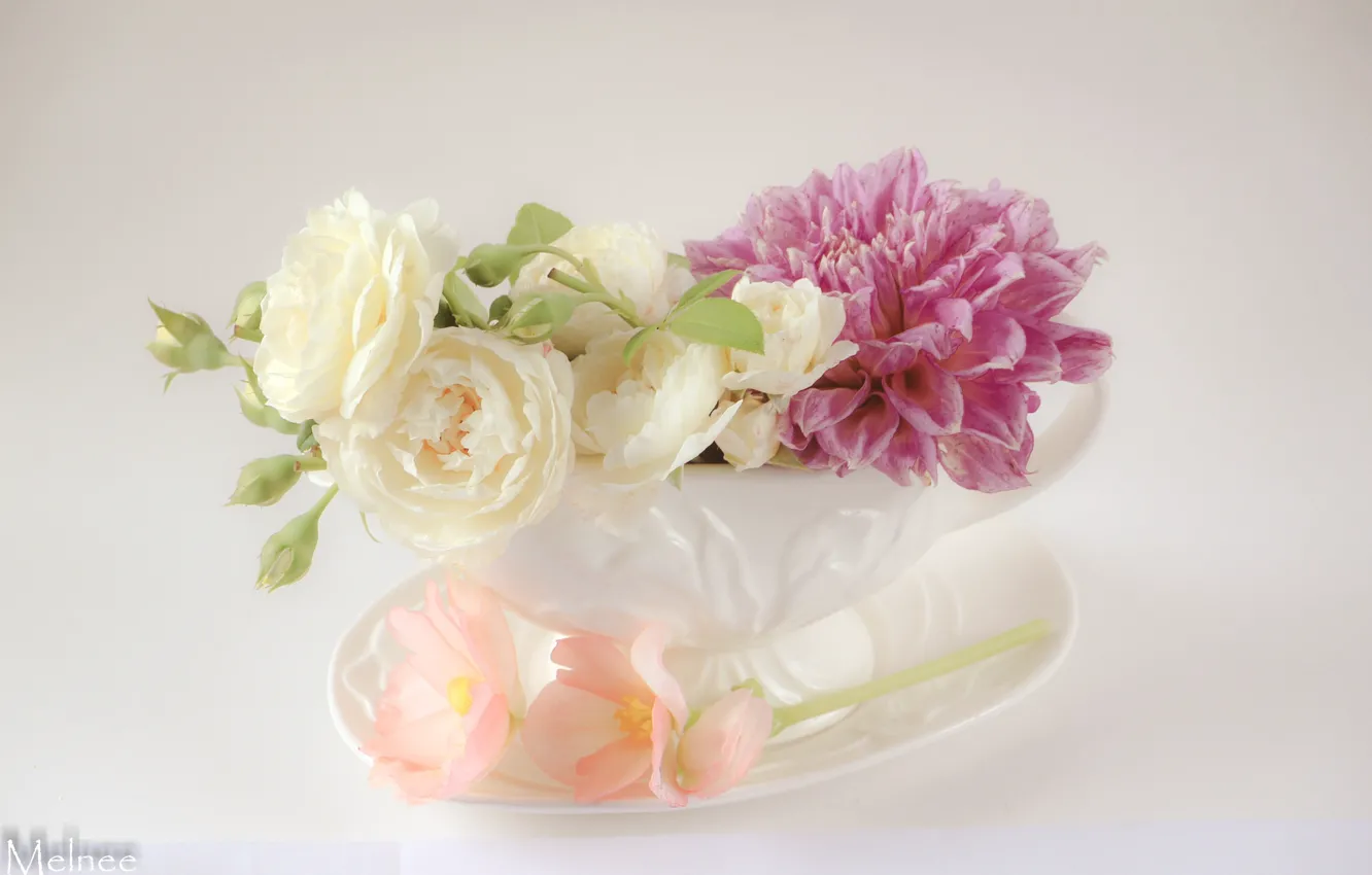 Photo wallpaper roses, bouquet, dahlias