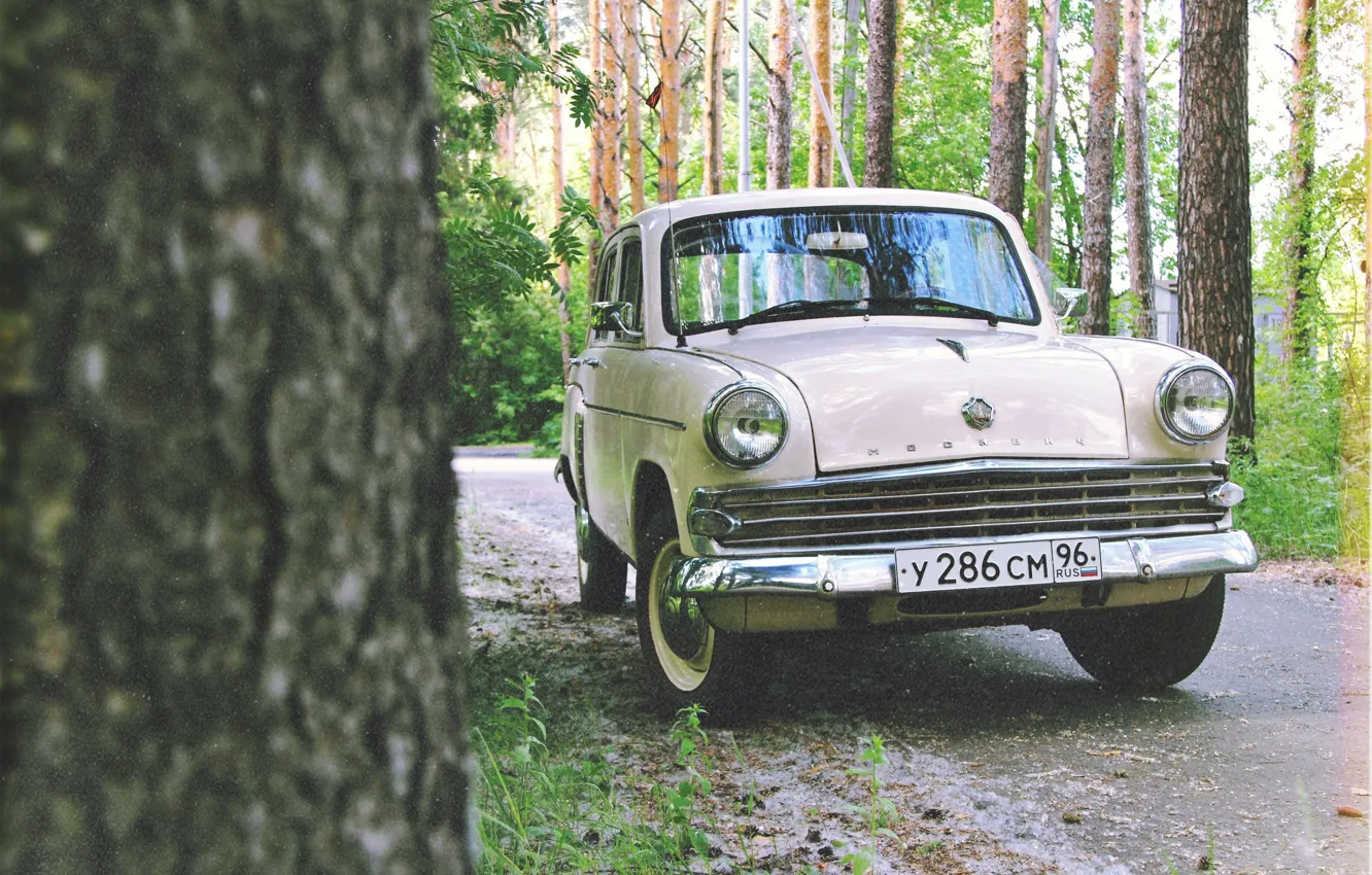 Photo wallpaper greens, forest, nature, retro, film, car, Muscovite, old school
