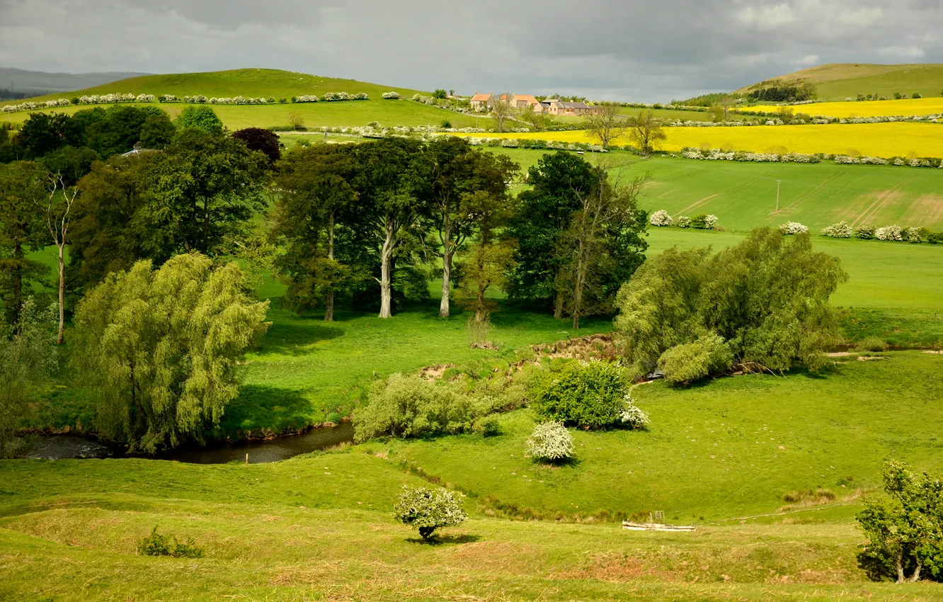 Photo wallpaper field, the sky, trees, clouds, river, hills